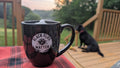 Coffee Mugs 16 oz